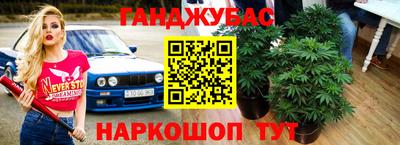 стафф Волгодонск