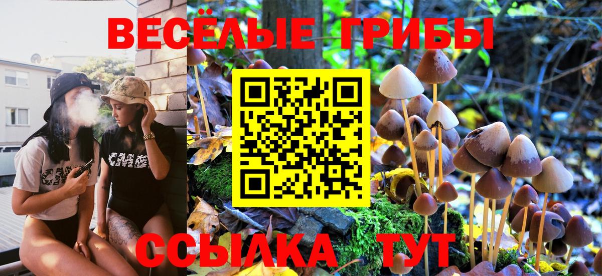 Галлюциногенные грибы Magic Shrooms  Галлюциногенные грибы Magic Shrooms  Бахчисарай  Вход с VPN 