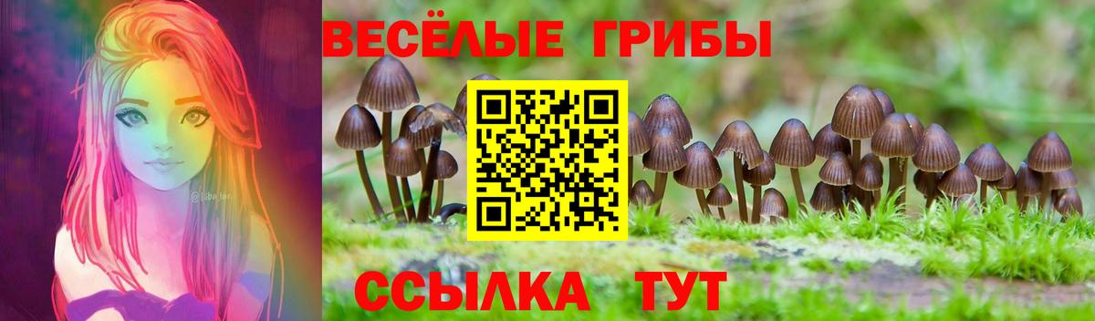 Галлюциногенные грибы мухоморы Бахчисарай